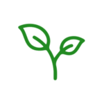 SepalAI Logo